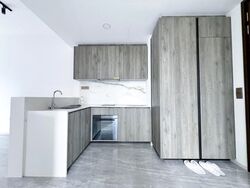 Leedon Green (D10), Condominium #498732181